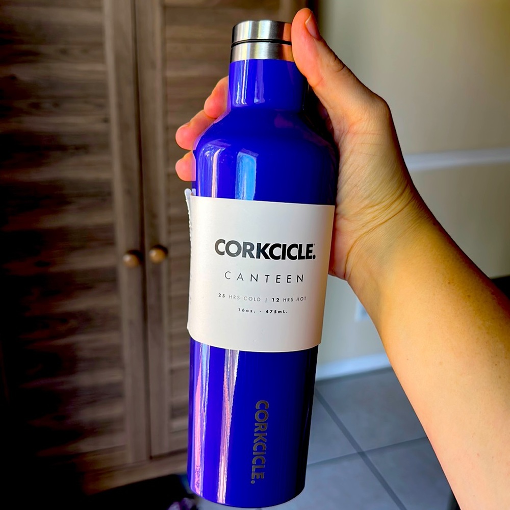 Brand new Corkcicle 16 ounce insulated Canteen in Açaí Berry
